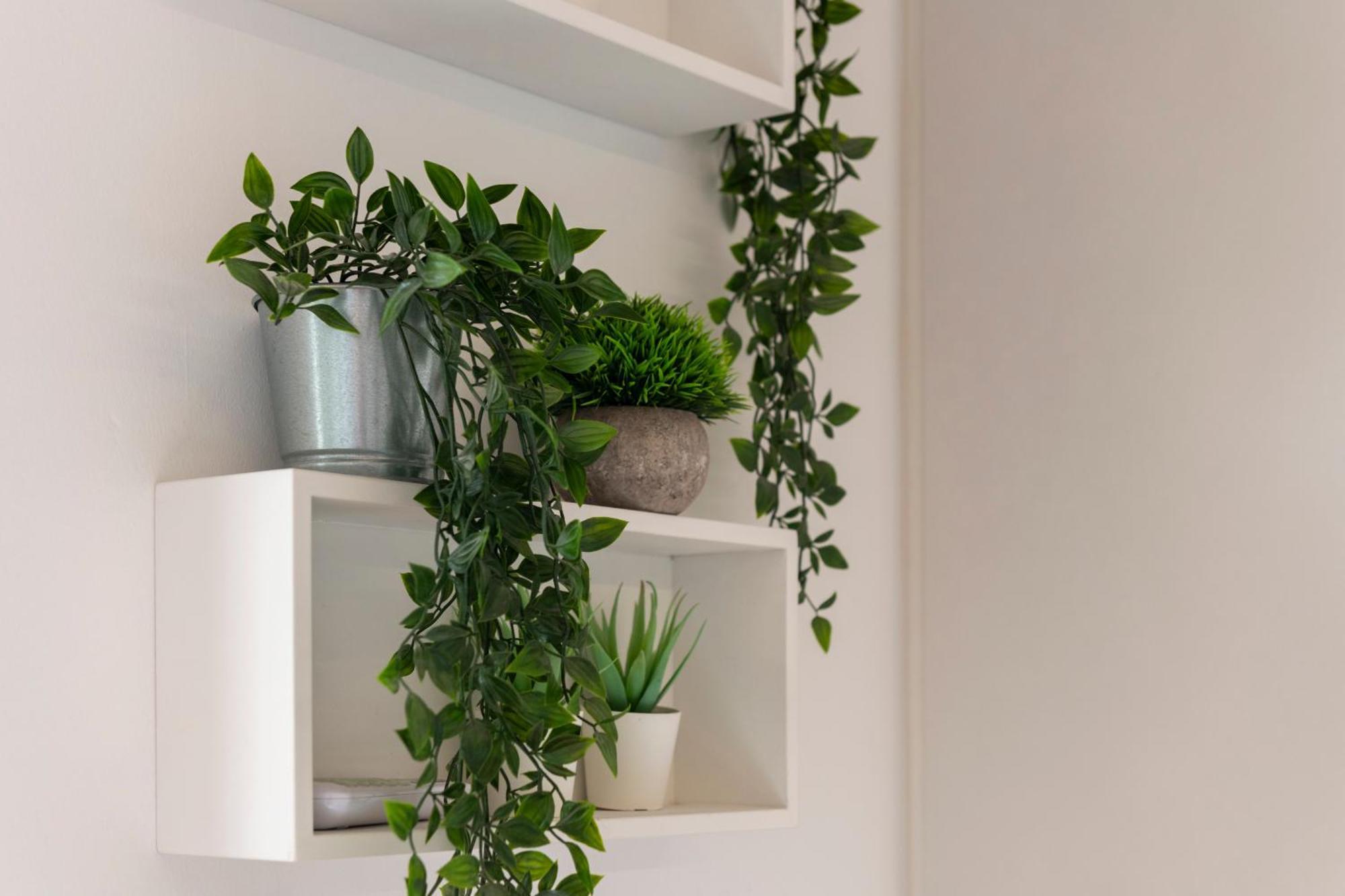 Villa Fenix Milano Εξωτερικό φωτογραφία